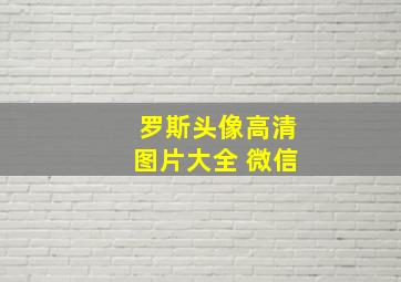 罗斯头像高清图片大全 微信